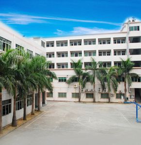 公司风采